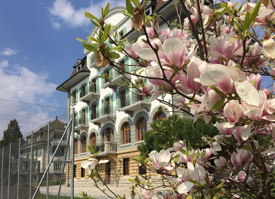 Brillantmont vs Collège du Léman 2026: an honest head-to-head from Swiss boarding advisors — boarding school campus