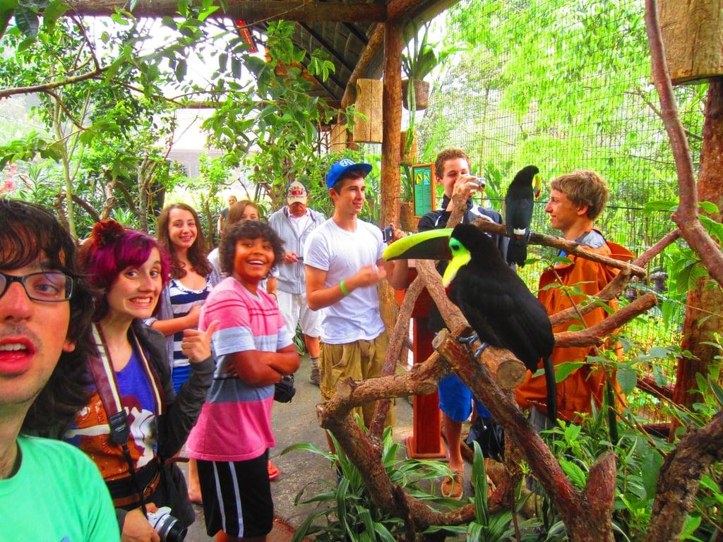 Intercultura Heredia Spanish School — boarding school campus